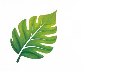 green leaf isolated on white
