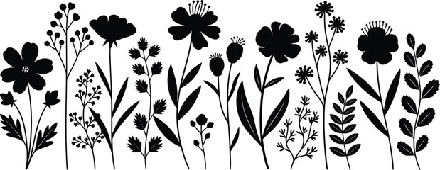 Black silhouette of various wild meadow flowers and plants on a white background