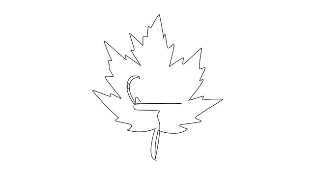 Animation of continuous one line drawing maple leaf with a crown in the middle. A holiday to honor the contributions of the Queen. Victoria Day. Single line self drawing animated. Full length motion