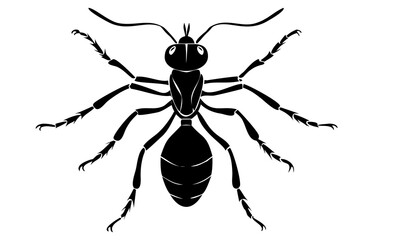 “Ant Silhouette Vector Detailed Bug Illustration Isolated on White
