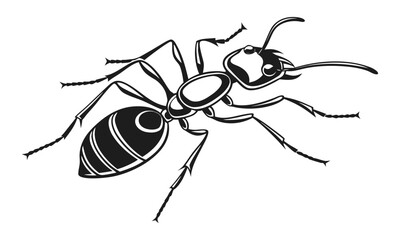 “Ant Silhouette Vector Detailed Bug Illustration Isolated on White