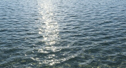 Obraz premium Sunlit water surface with gentle ripples creating bright reflections