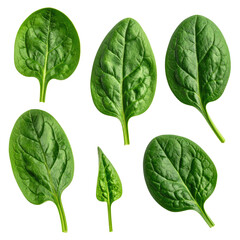 Close-up of fresh, green, leafy spinach arranged on a dark background, showcasing texture