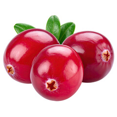 Three shiny, bright red berries with green leaves on a black background