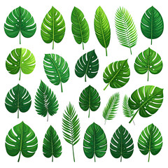 Assorted green foliage with unique shapes and textures