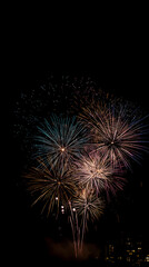 Obraz premium fireworks in the night sky
