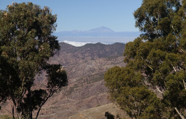 Gran Canaria, landscape of the central part of the island, Las Cumbres, ie The Summits, view towards Teide on Tenerife