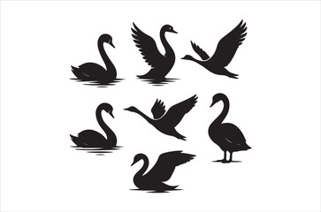 Fototapeta premium Silhouettes of black swans in various poses on calm waters