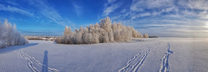 winter landscape with snow