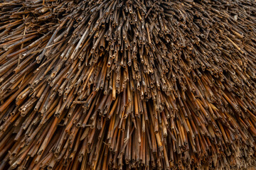 Natural building material texture made from tightly bundled slender sticks in a rustic setting