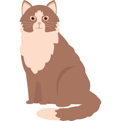 Fluffy brown cat with white accents sits attentively featuring a textured coat and gentle expression isolated on a transparent background ideal for graphic design elements