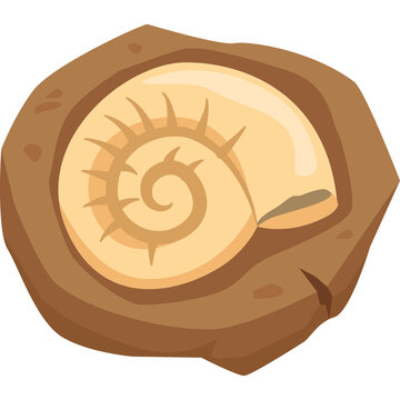 Fossilized spiral seashell embedded in a rough brown stone texture detailed ancient marine life specimen light brown and tan colors natural historical artifact