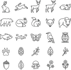 Collection of hand drawn forest animals and nature elements in outline style