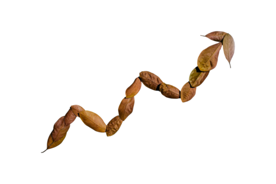 Upward trend arrow crafted from autumn leaves, creative business growth idea