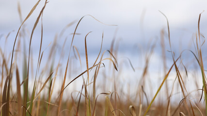 autumn photos, nature in autumn, autumn colors
