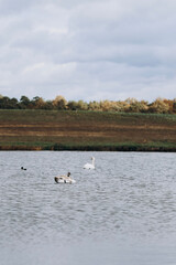 autumn photos, nature in autumn, autumn colors