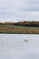 autumn photos, nature in autumn, autumn colors