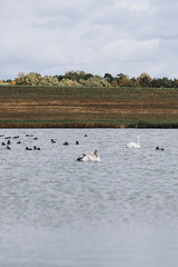 autumn photos, nature in autumn, autumn colors