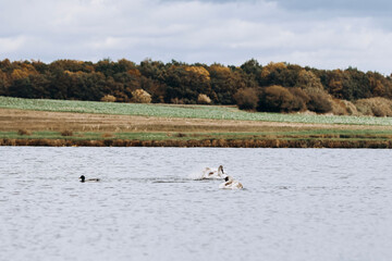 autumn photos, nature in autumn, autumn colors