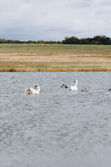 autumn photos, nature in autumn, autumn colors