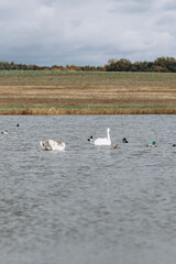 autumn photos, nature in autumn, autumn colors