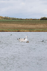 autumn photos, nature in autumn, autumn colors