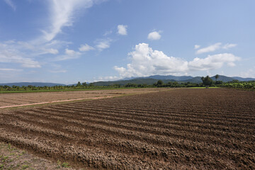 Peaceful plowed field with brown soil prepared for agriculture under blue sky. rural landscape showing furrows in dirt with mountain background in countryside