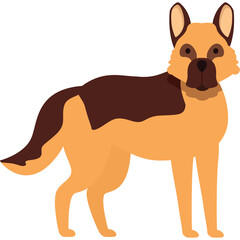 German Shepherd Dog Standing Full Body Animal Portrait Tan and Brown Fur with Alert Ears and Dark Eyes on Transparent Background Studio Shot