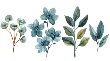Blue Flowers and Leaves Botanical Illustration, Hand Painted Floral Branches with Elegant Natural Foliage for Design and Decor