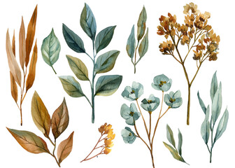 Autumn branch and Leaves, Hand Painted Foliage and Dried Flowers on White Background, Watercolor Botanical Collection with plants © Hanna