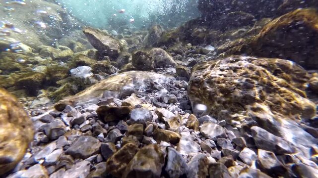 Unterwasseraufnahme von Wildbach in den Alpen mit Gestein, Str&ouml;mung und klarer Sicht, Trinkwasser