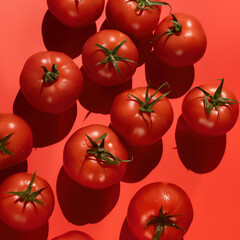 Tomatoes on red background, food lifestyle illustration