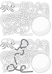 Rhinoceros beetle maze