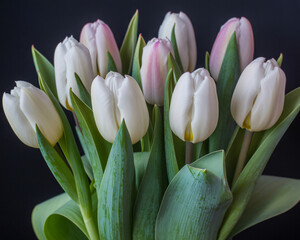 Stunning bouquet of pristine white tulips with delicate pink accents, perfect for expressing purity and new beginnings in elegant floral arrangements.