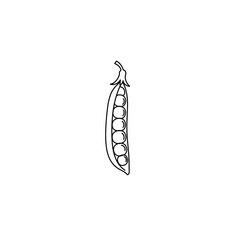 Minimalist Line Art: Open Pea Pod with Six Peas Inside, Detailed Stem
