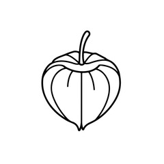 Fototapeta premium Delicate Physalis Outline: A Detailed Botanical Illustration of a Goldenberry