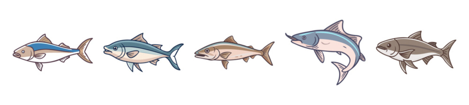 Multiple cobia fish drawings showcasing different poses and angles
