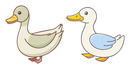 Two adorable cartoon ducks standing side by side fun