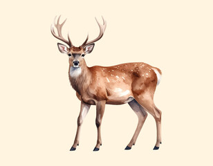 Fototapeta premium Watercolor vector of deer, isolated on a white background