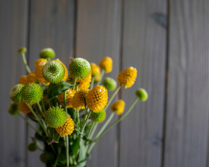 Vibrant yellow and green button flowers burst with natural beauty against a rustic wooden backdrop, perfect for fresh design inspiration.