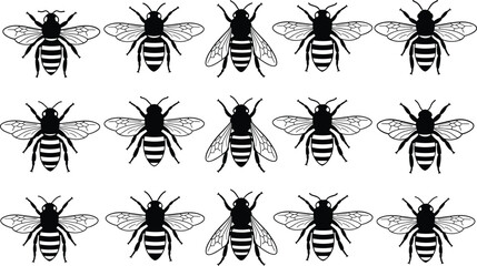Bee silhouette vector illustration, black and white, insect icons, honeybee design, symmetrical wings, pollinator graphics, entomology theme, nature insect collection