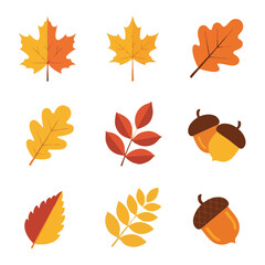 Obraz premium Autumn Leaves and Acorns Flat Vector Set in Warm Fall Colors