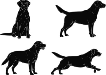 Labrador Retriever silhouette vector illustration, black and white, sitting, standing, walking poses, dog breed icon, pet theme, animal graphic design