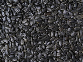 Black sunflower seeds as background, close up view.