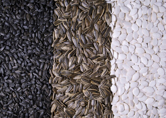 Various seeds as background, close up view.