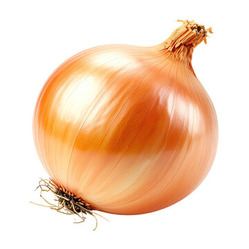A single, whole, golden onion with a textured skin, isolated against a transparent background