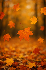 Fototapeta premium autumn leaves background
