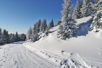 Stuhleck ski resort slope white winter landscape. Snow-covered mountain slope with frosted trees under a clear blue sky in Styria, Austrian Alps.