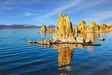 Magnificent reflections of remnants