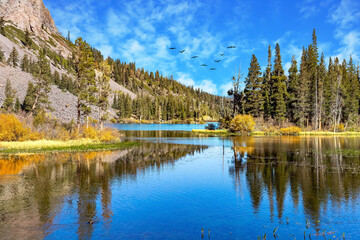  The smooth water of the lake